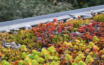 the cost of Camelsdale green roof installation