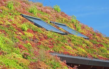 Camelsdale living roof systems