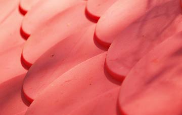 Camelsdale plastic roof costs