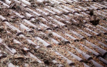 Camelsdale roof cleaning companies