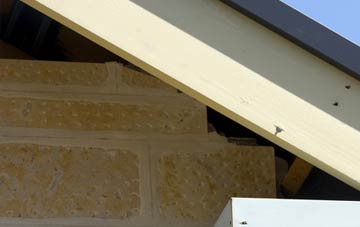 soffit repair Camelsdale