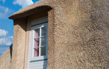 Camelsdale thatch roof disadvantages